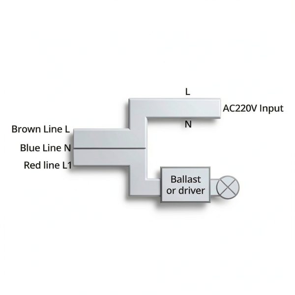 QWORK Motion Sensor Light Switch 180° Detection-1